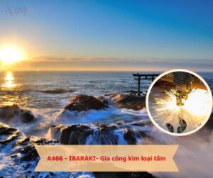Đơn hàng XKLD A466 Gia công kim loại tấm