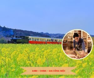 A480 Gia công mộc