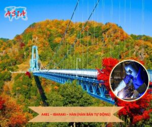 A481 Hàn (Hàn bán tự động)