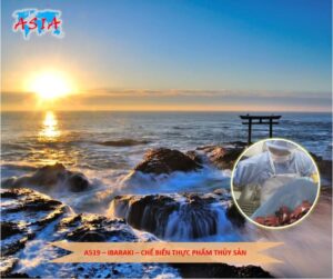 A519 Chế biến thực phẩm thủy sản