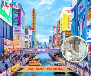 A523 Sơn kim loại