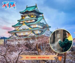 A521 Sơn kim loại