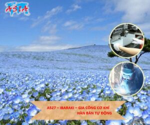 A527 Gia công cơ khí – Hàn bán tự động