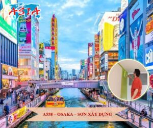 A558 塗装（建築塗装）