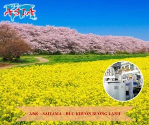 A560 Đúc khuôn buồng lạnh
