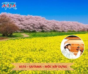 A574 Mộc xây dựng