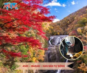 A583 Hàn bán tự động
