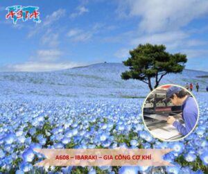 A608 Gia công cơ khí