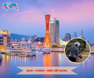A610 Mộc xây dựng