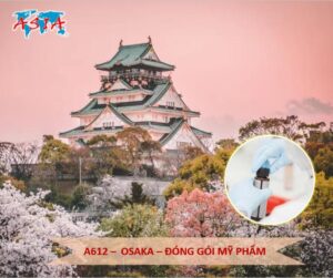 A612 Đóng gói mỹ phẩm