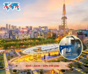 A555 Sơn kim loại