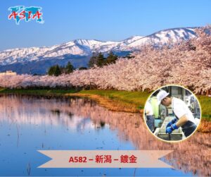 A582 鍍金