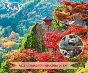A616 Gia công cơ khí (Phay)