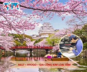 A617 Gia công kim loại tấm