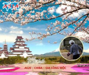 A620 Gia công mộc